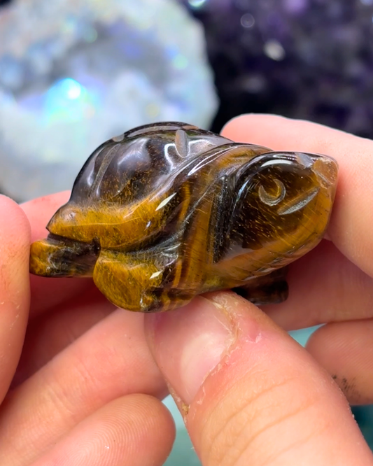 Mini Tigers Eye Turtle
