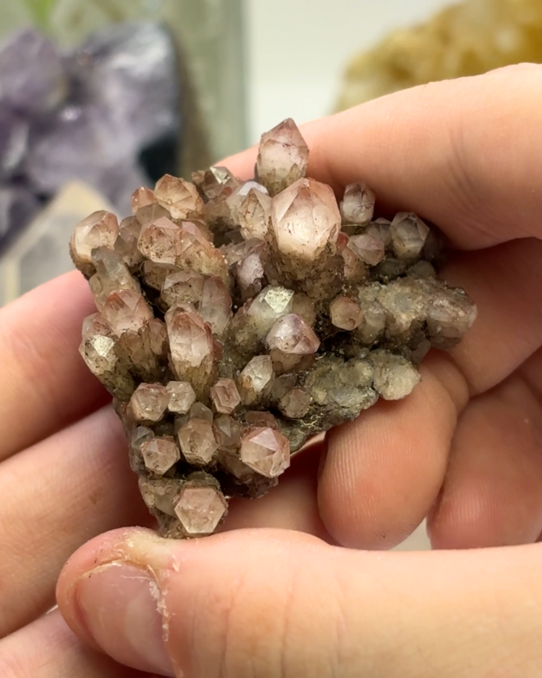 Phantom Quartz Cluster Specimen