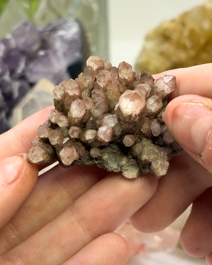 Phantom Quartz Cluster Specimen