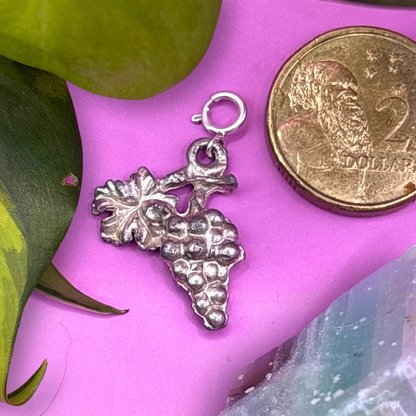 Large Silver Grapes 2D Charm