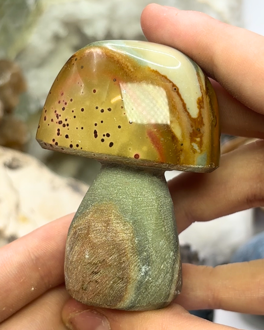 Polychrome Jasper Semi-Polished Mushroom