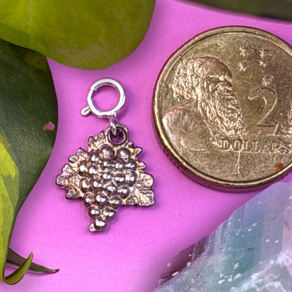 Mini Silver Grapes 2D Charm