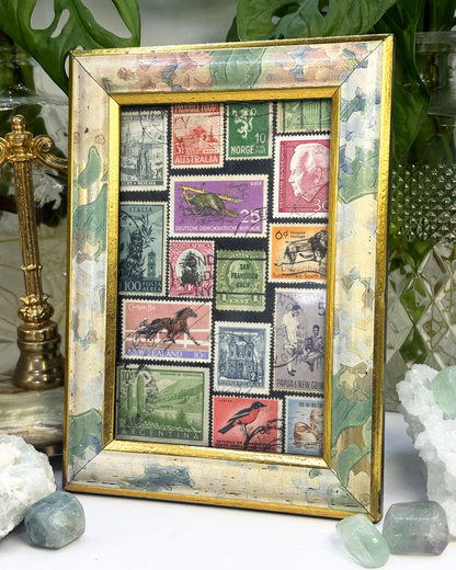 In the Wild Vintage Stamp Frame