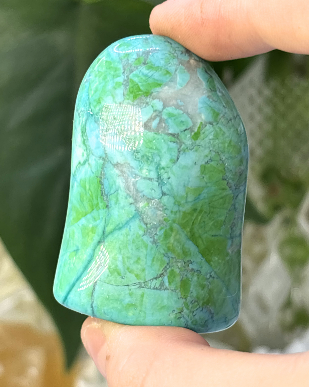 Malachite & Chrysocolla Freeform