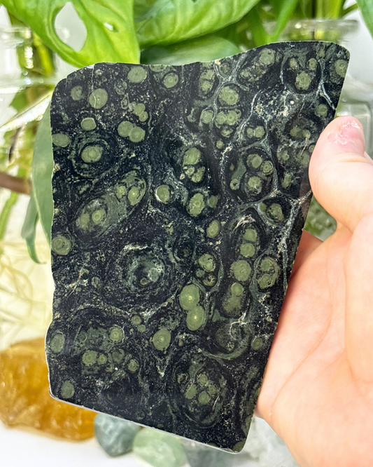 Large Kambaba Jasper Slice