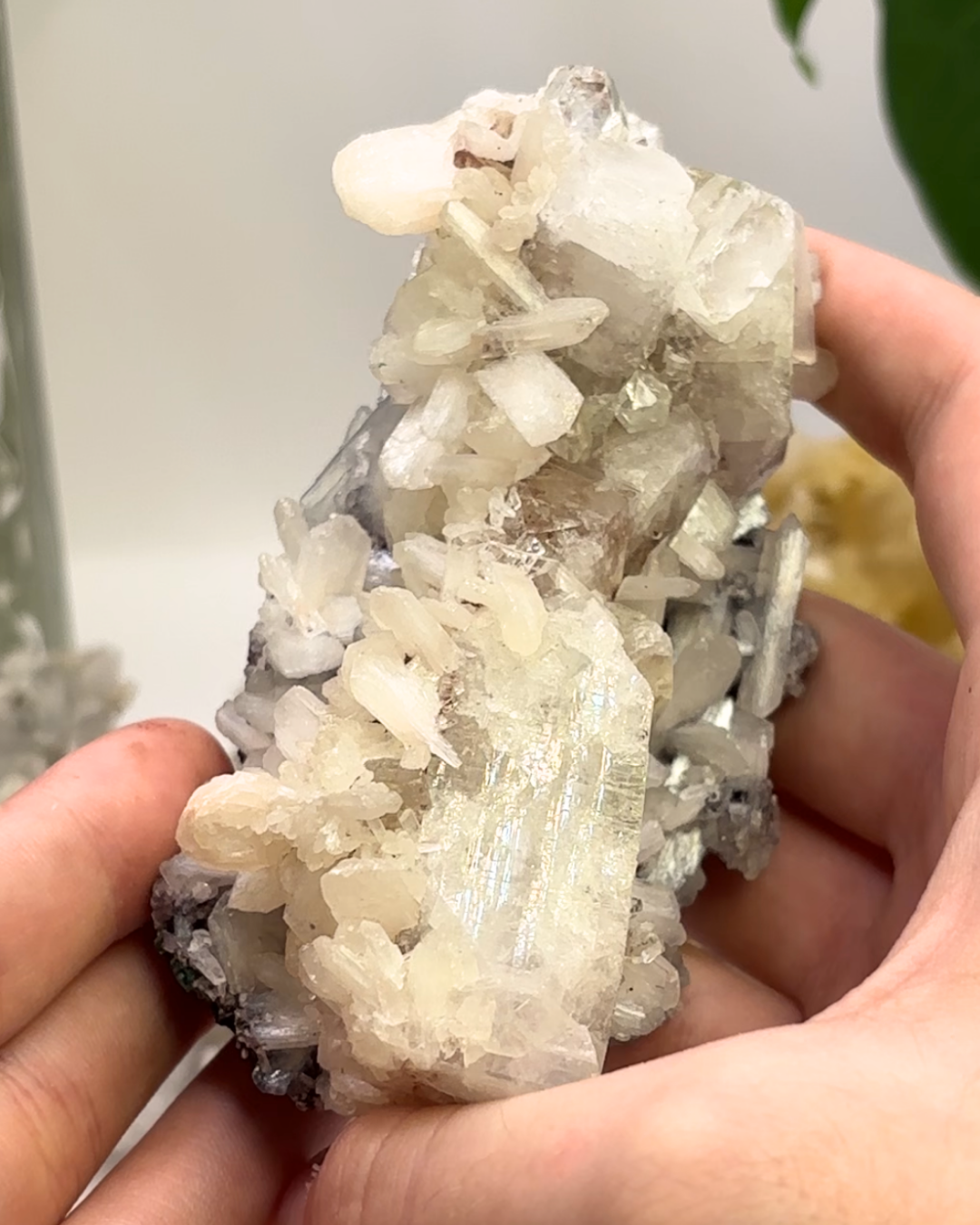 Apophyllite Cluster Specimen