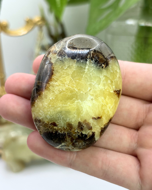 Septarian Palm Stone 2