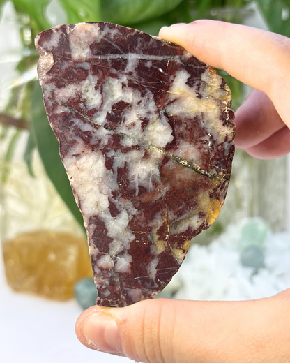 Polished Brecciated Jasper Slice