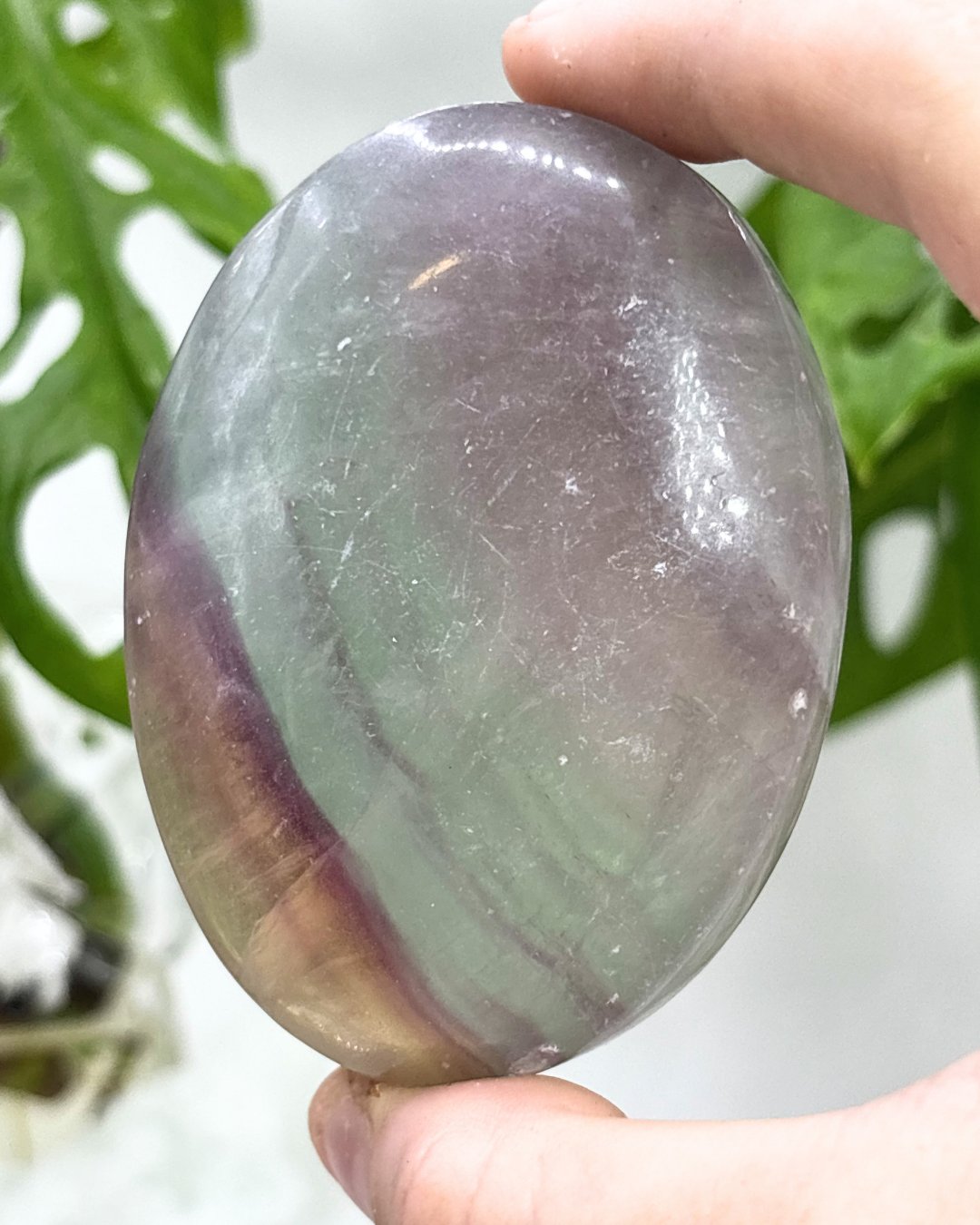 Rainbow Fluorite Palm Stone