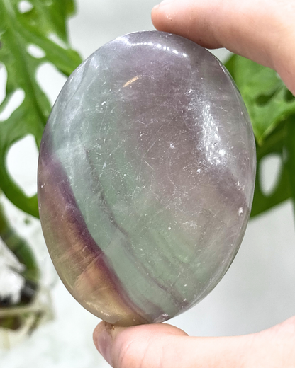 Rainbow Fluorite Palm Stone