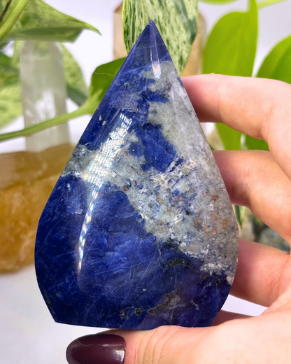 Sodalite Freeform