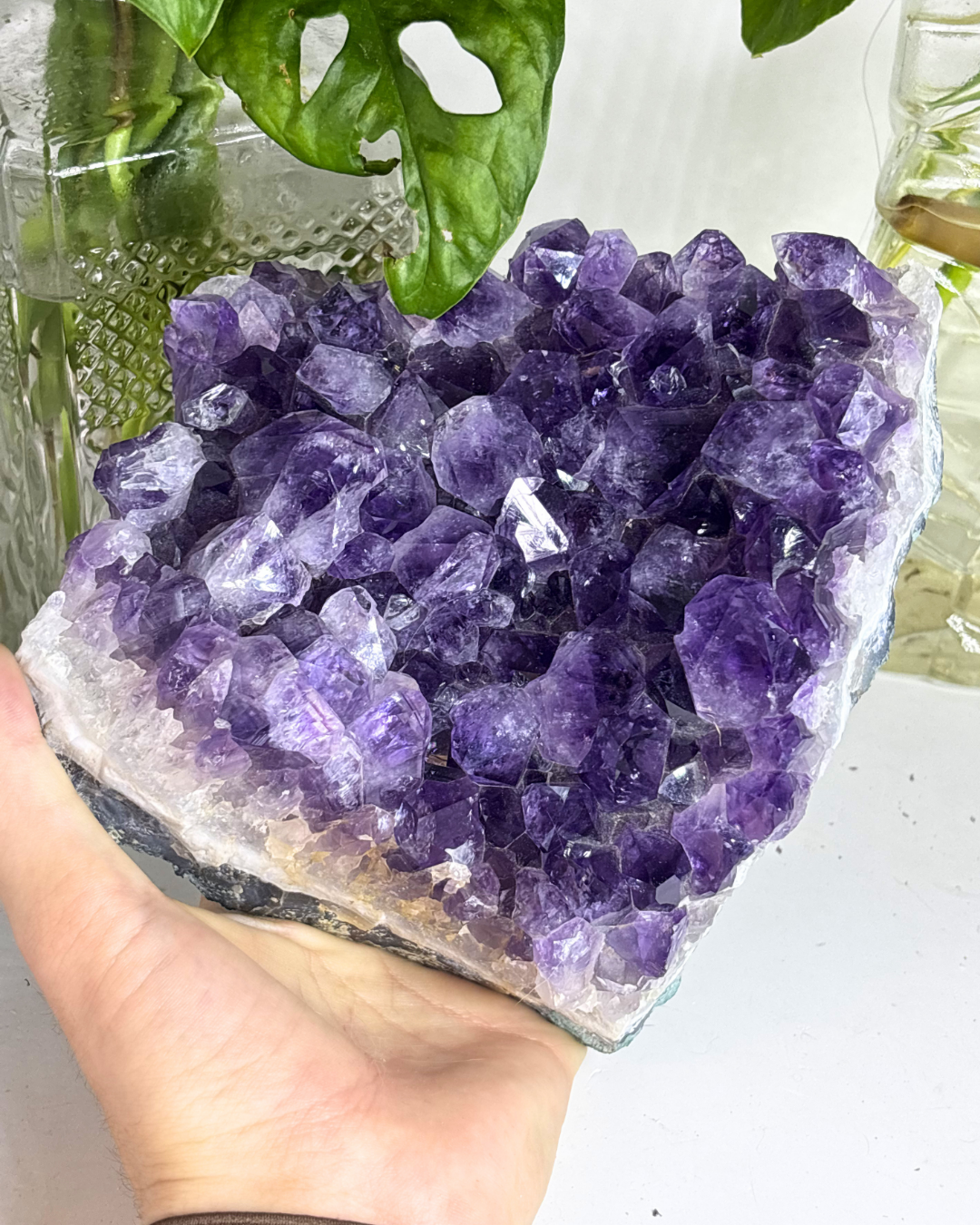 XL Amethyst Cluster