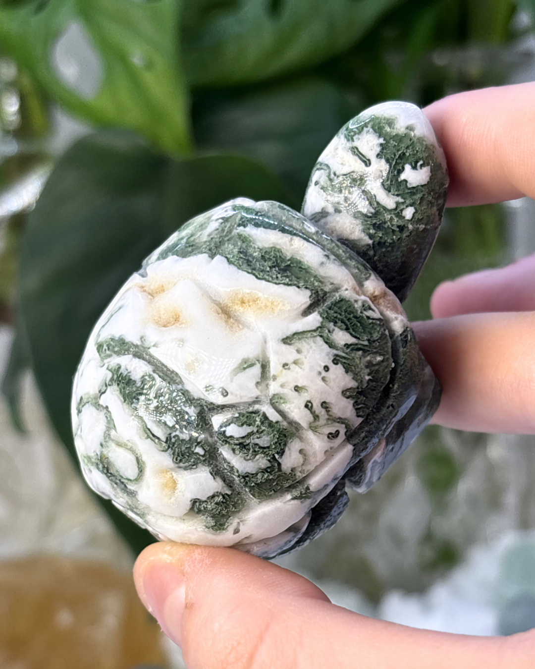 Druzy Tree Agate Turtle Carving