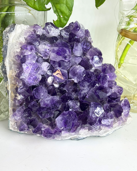 XL Amethyst Cluster