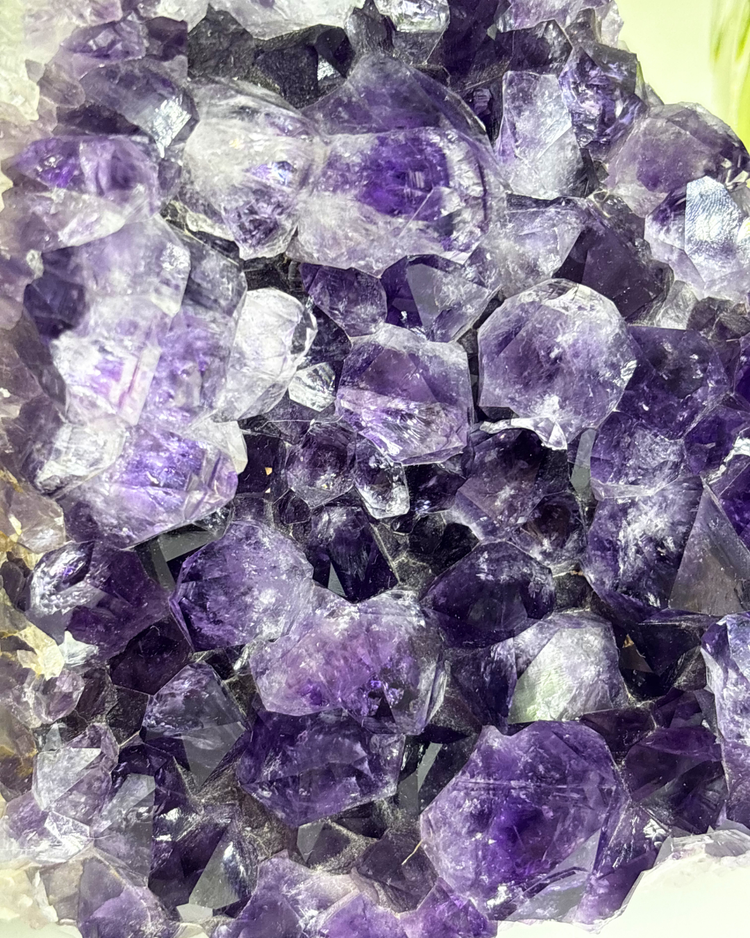 XL Amethyst Cluster