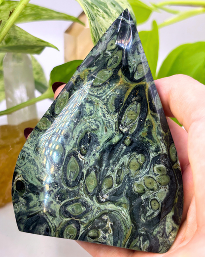 Kambaba Jasper Freeform