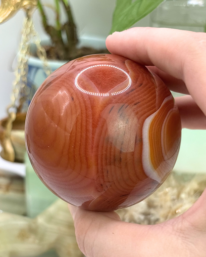 Red Agate Sphere with Stand