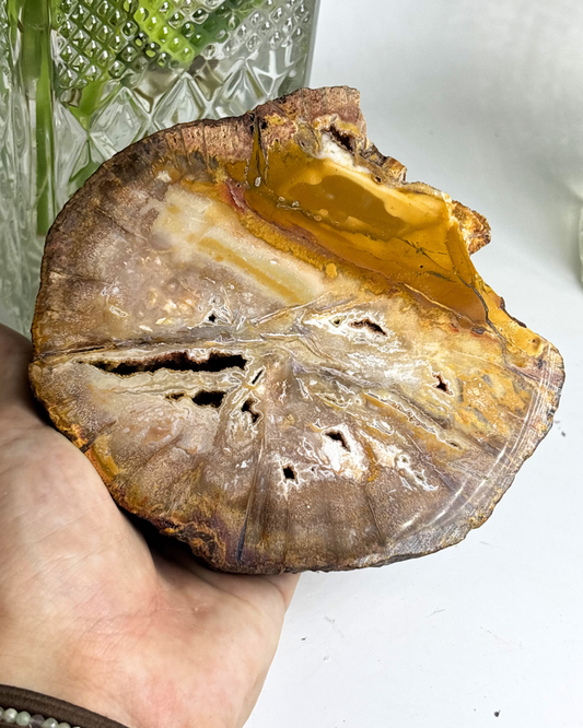 Druzy Petrified Wood Slab