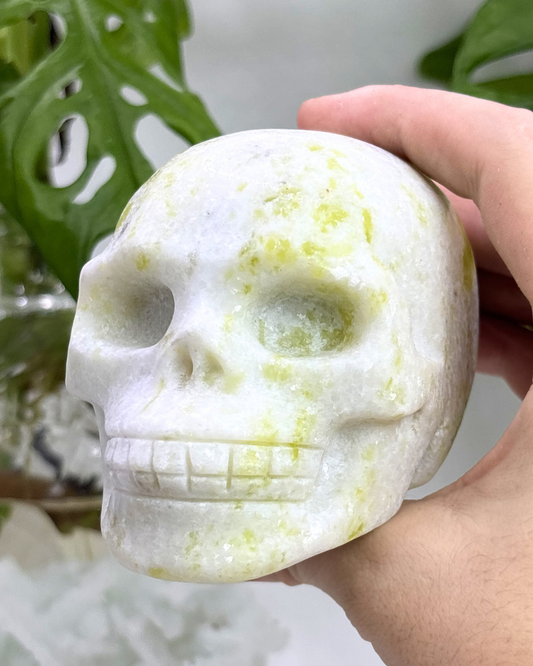 XL Lemon Jade Skull Carving
