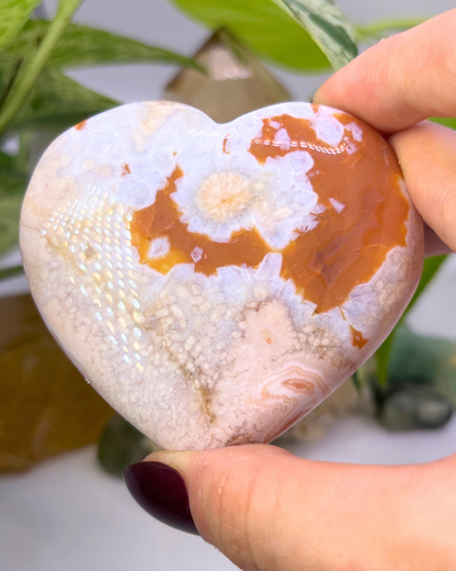 Flower Agate Heart
