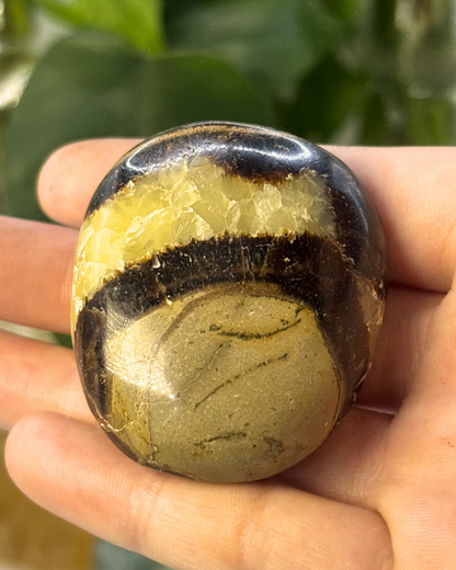 Septarain Palmstone UV Reactive