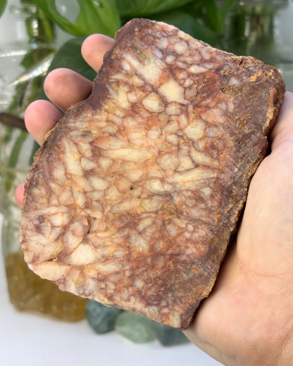 Polished Large Brecciated Pink Jasper Slace