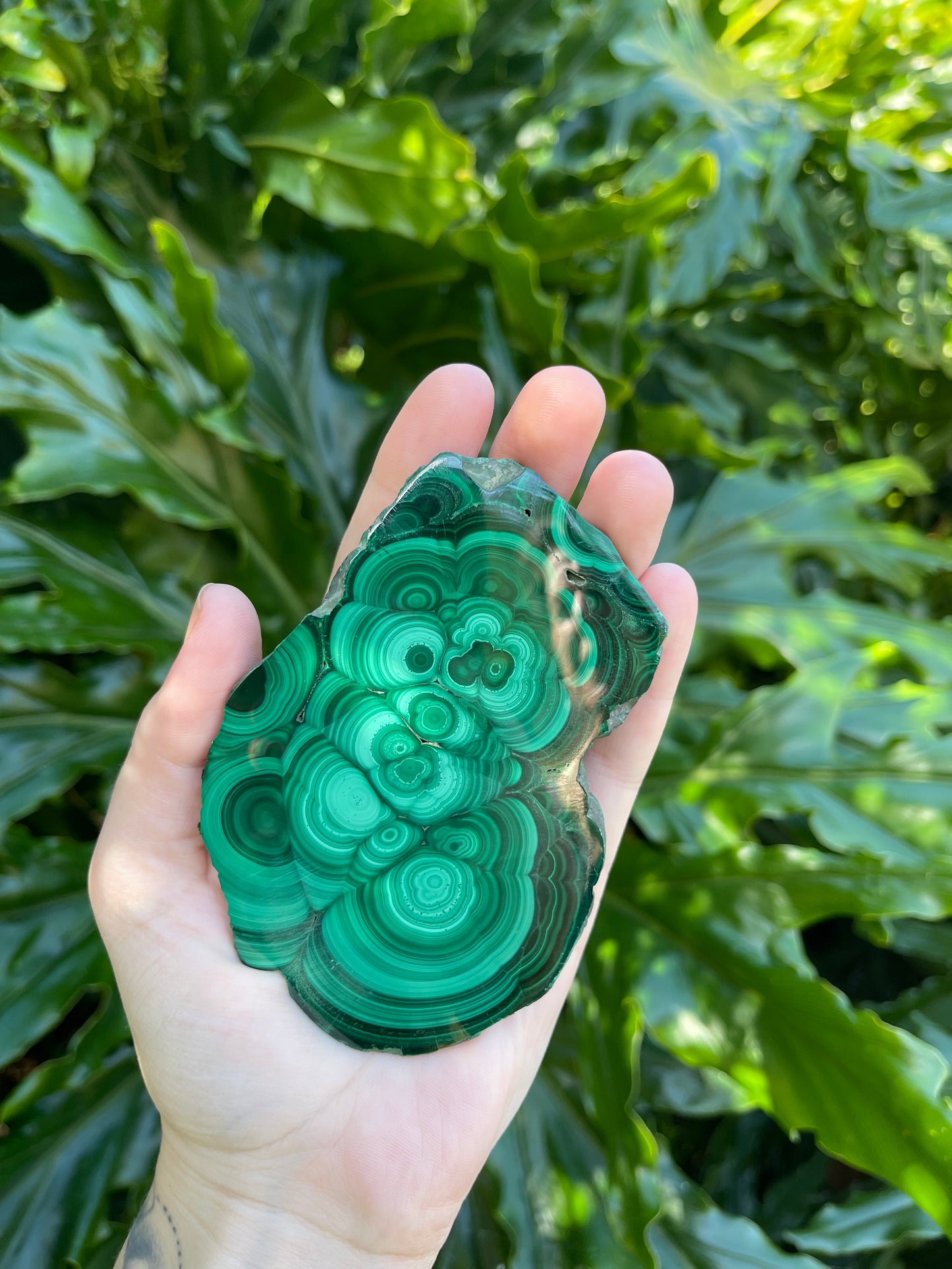 Malachite Large Polished Slices