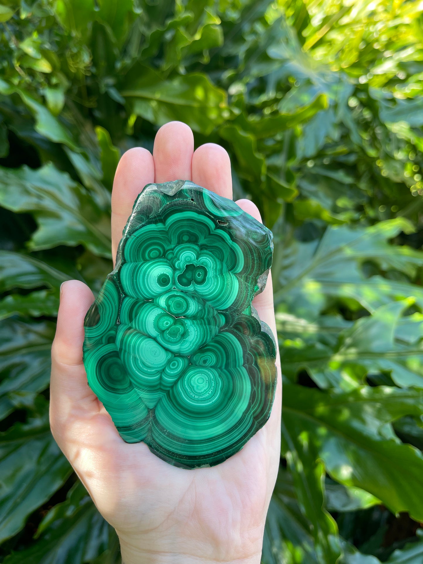 Malachite Large Polished Slices