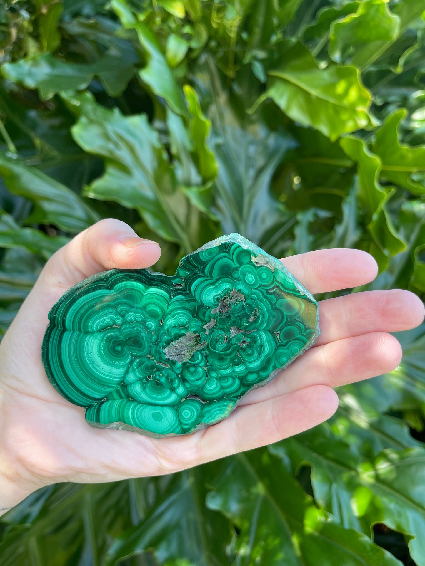 Malachite Large Polished Slices