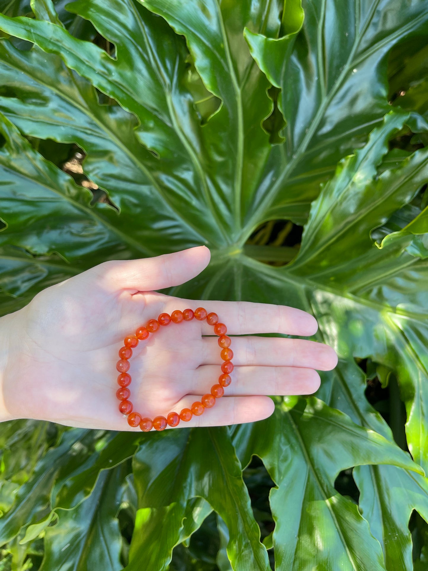 Carnelian Round Bracelet