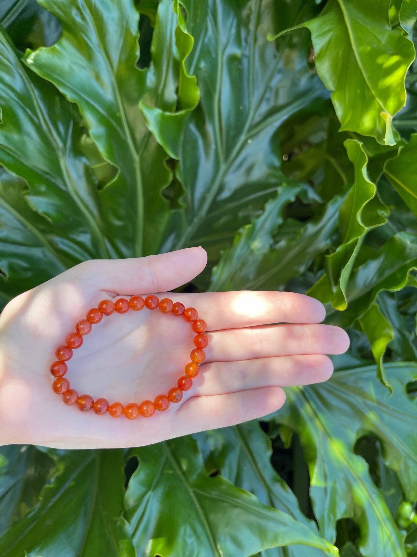 Carnelian Round Bracelet