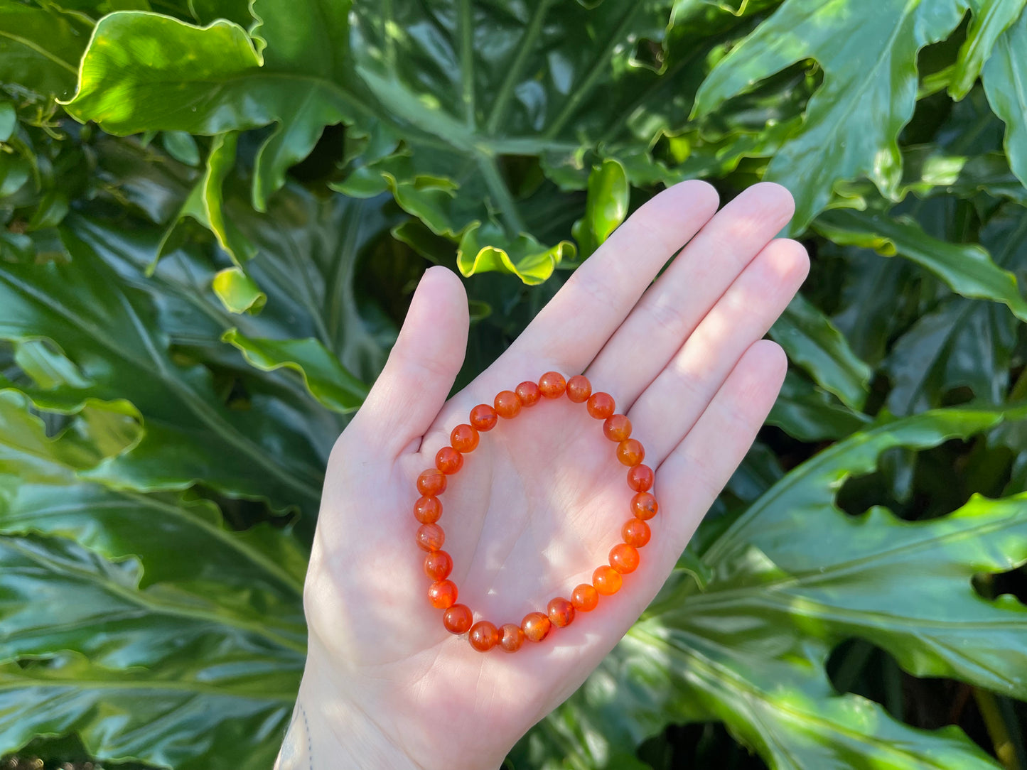 Carnelian Round Bracelet