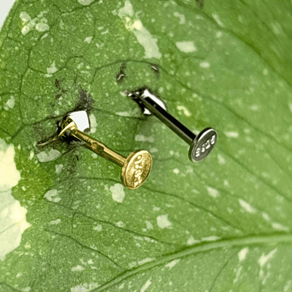 The Guide Crystals Rose Sparkle Charm Zirconia Stud Earrings