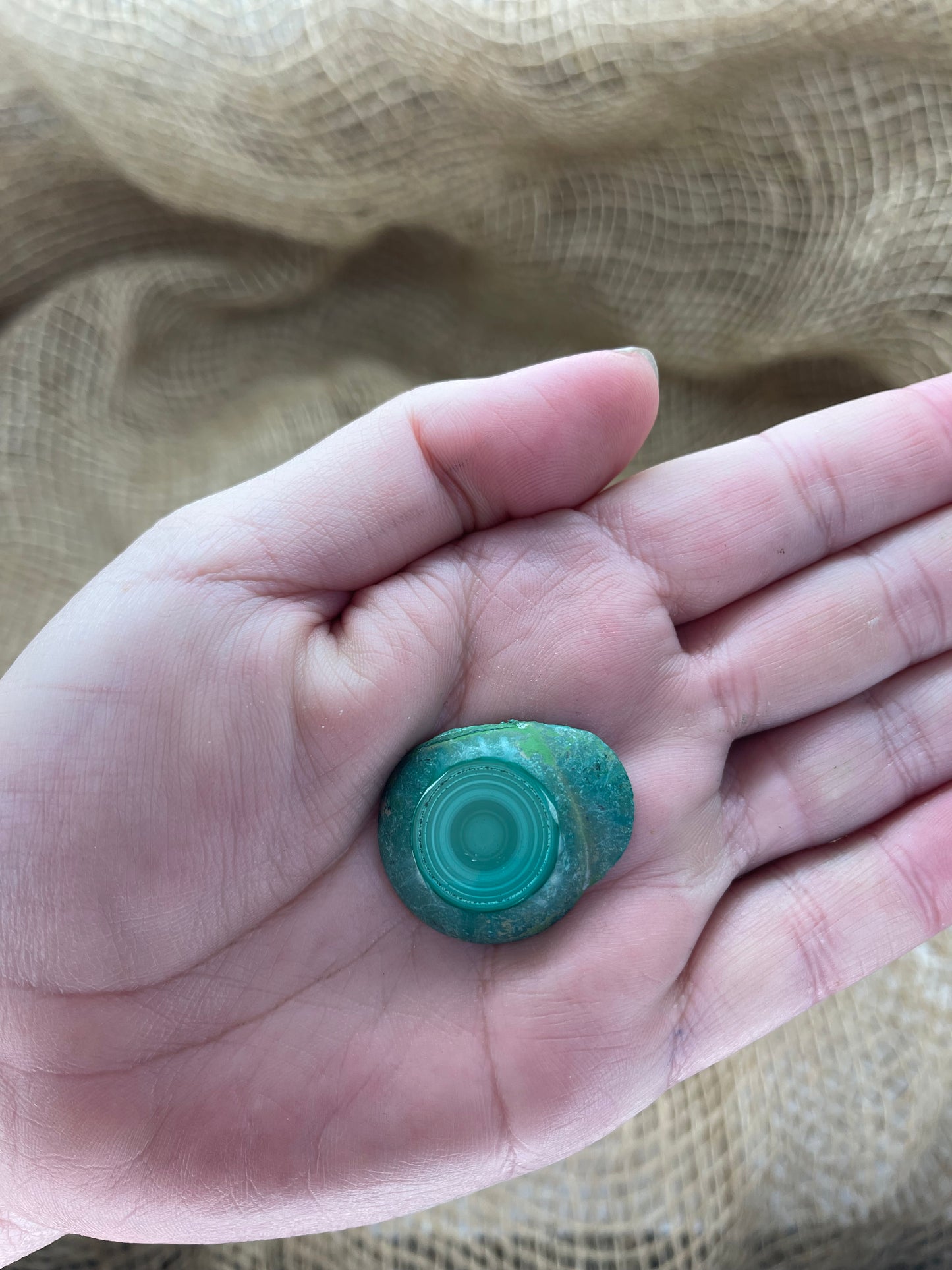 Malachite Small Polished Slices