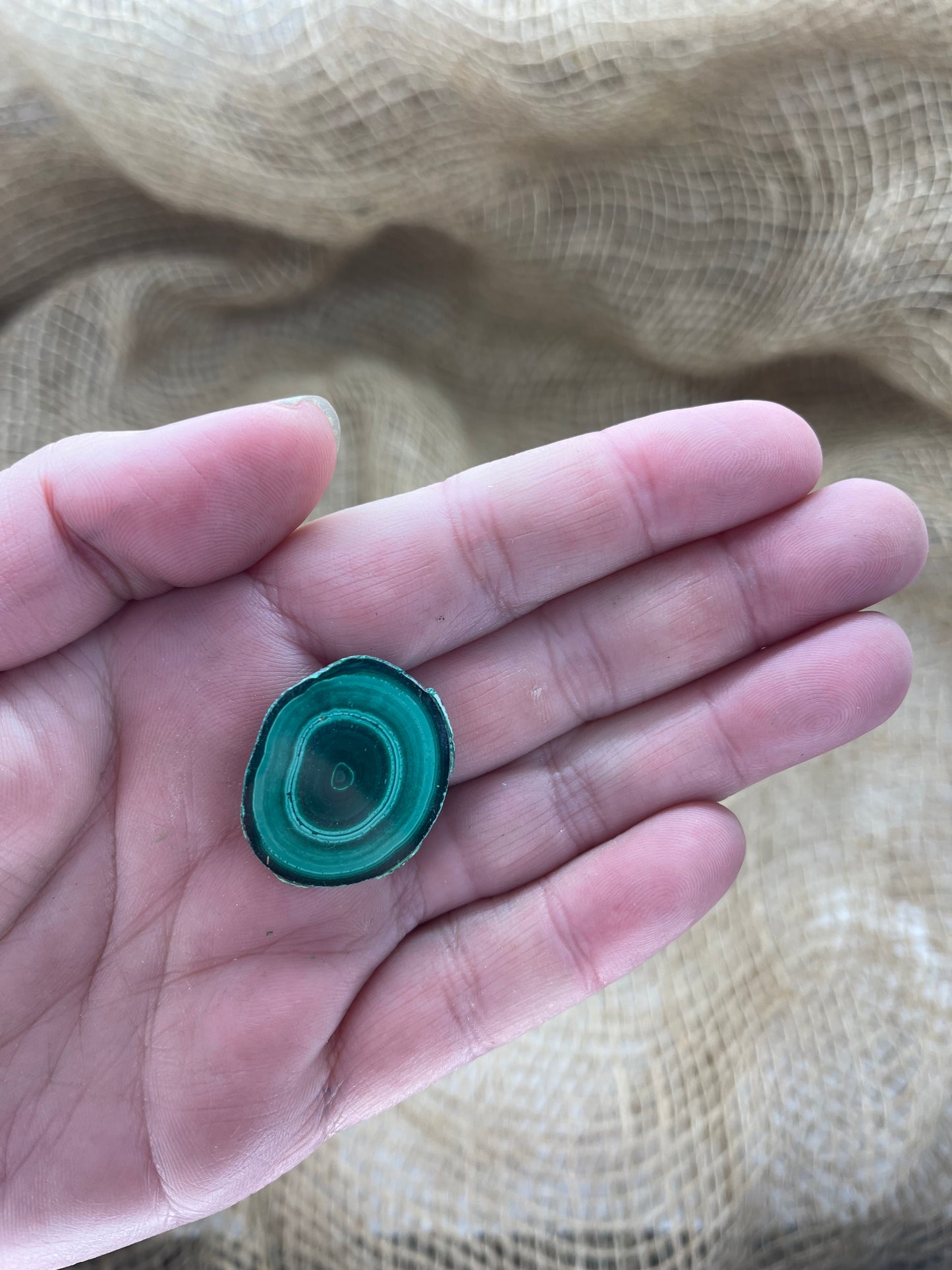 Malachite Small Polished Slices