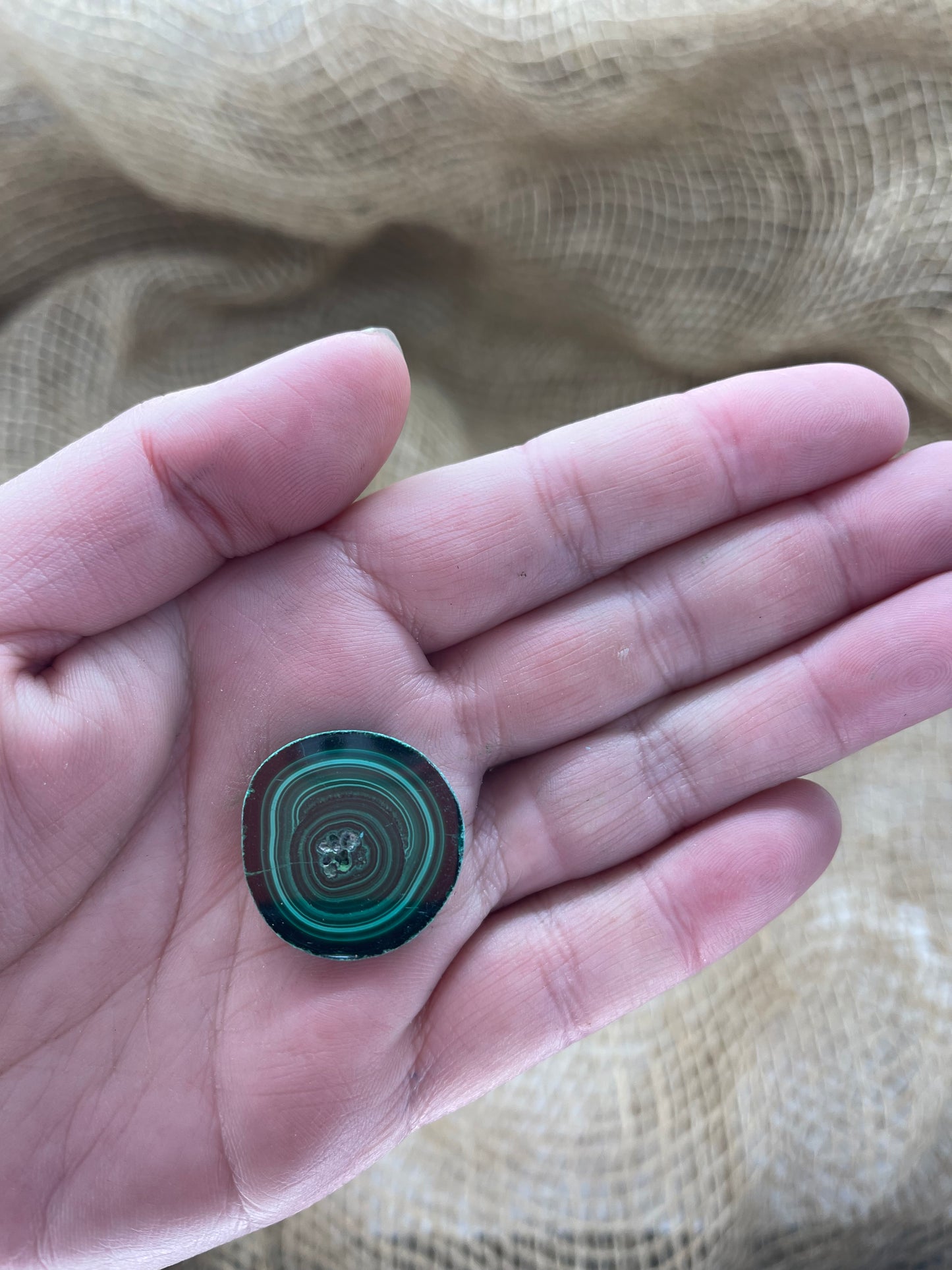 Malachite Small Polished Slices