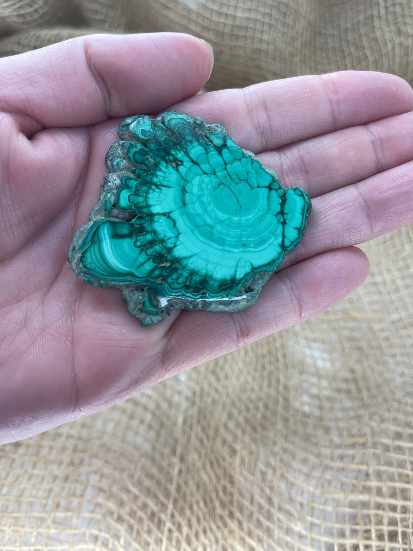 Malachite Medium Polished Slices