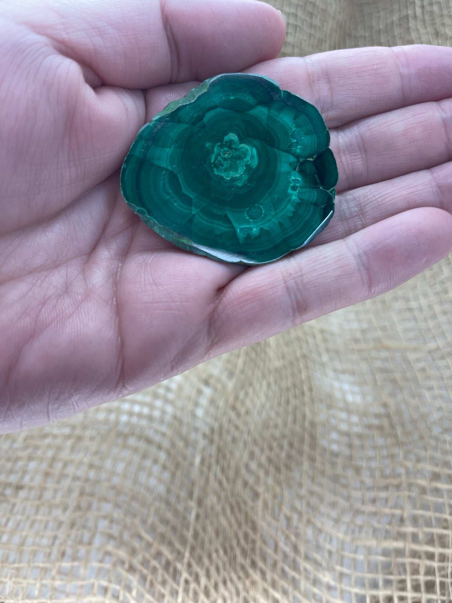 Malachite Medium Polished Slices