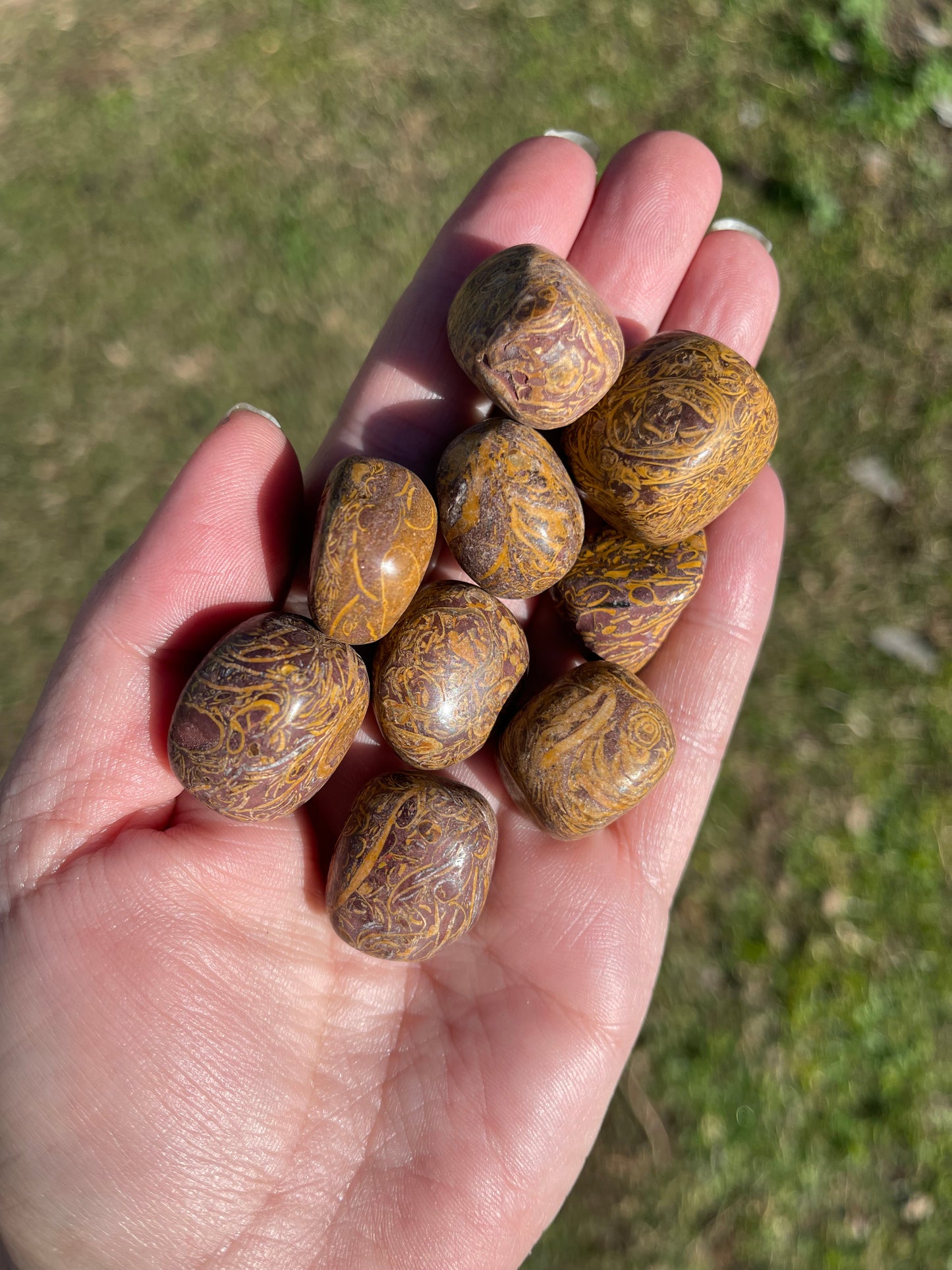 Elephant Jasper Tumble Himalayan Mountains