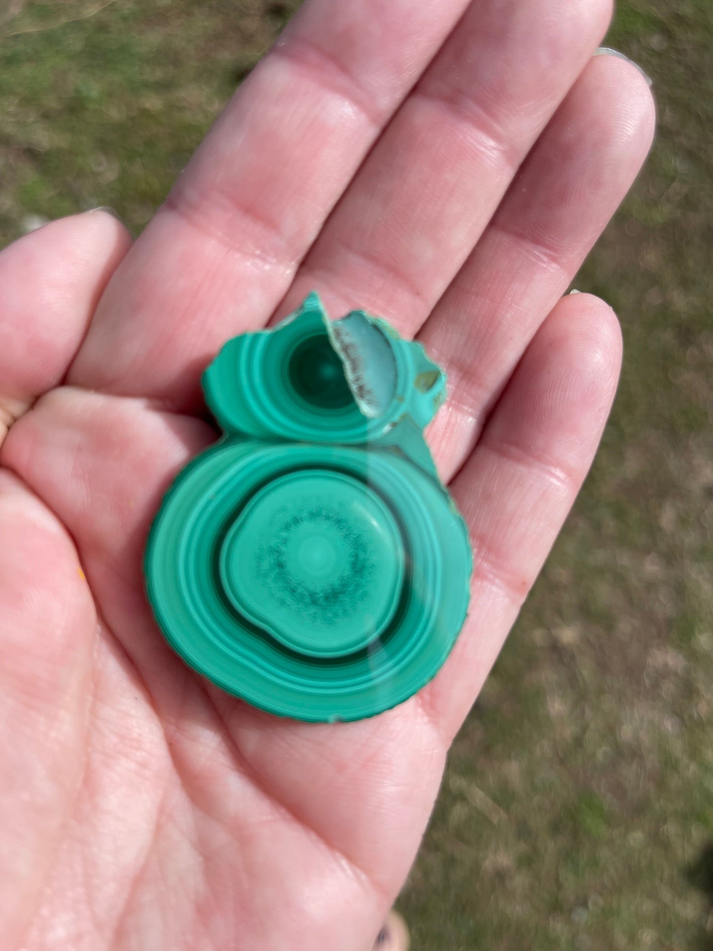 Malachite Medium Polished Slices