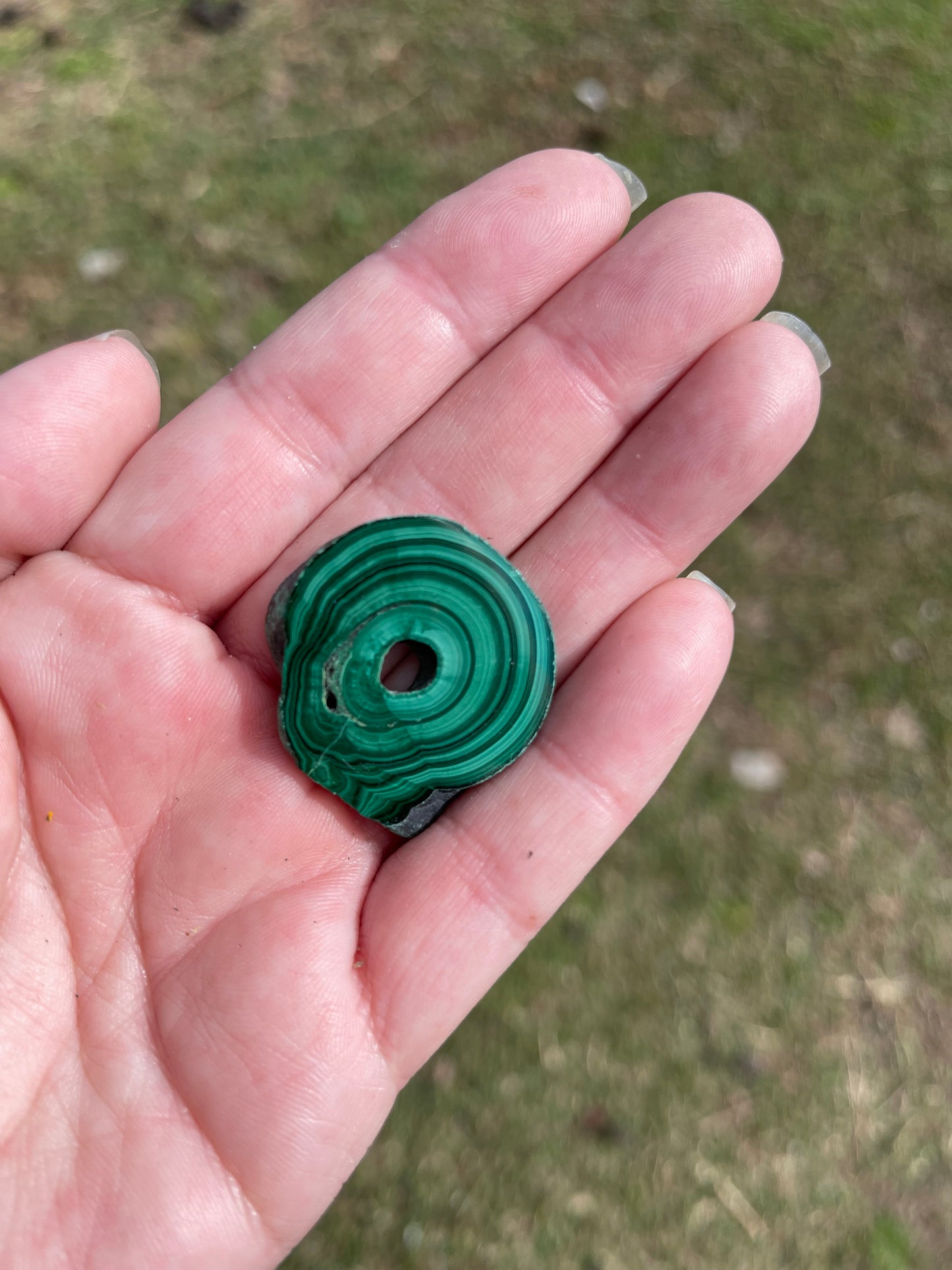 Malachite Small Polished Slices