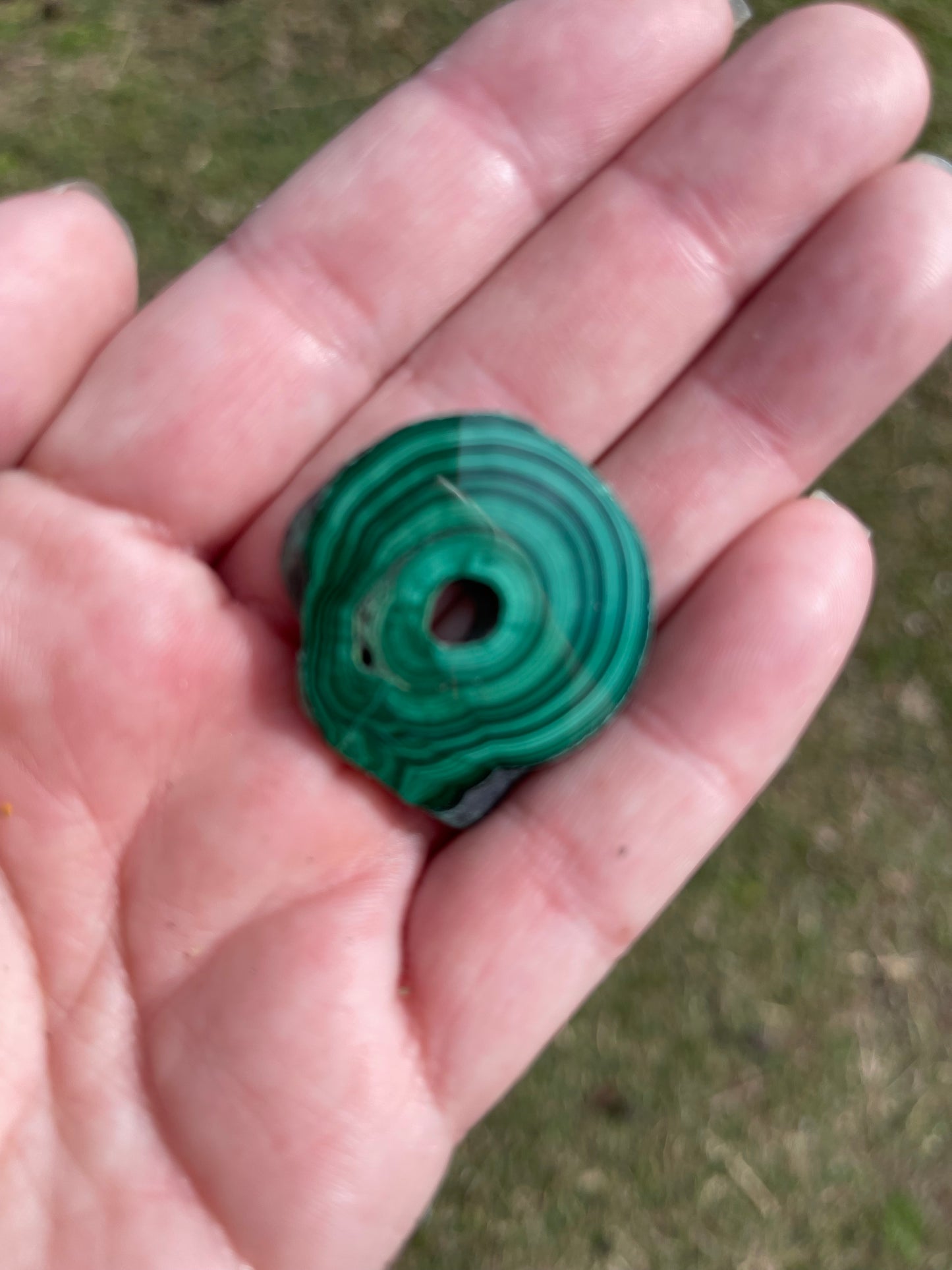 Malachite Small Polished Slices