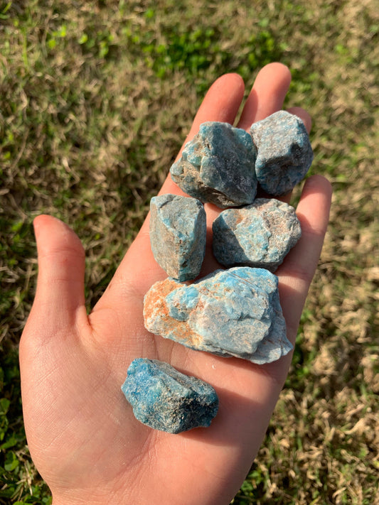 The Guide Crystals Rocks & Fossils Apatite Rough Crystal