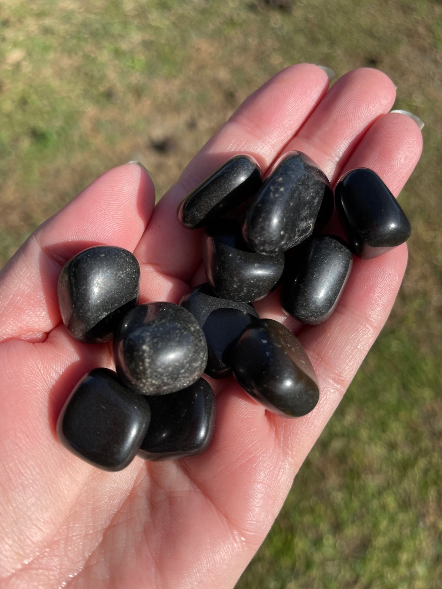 The Guide Crystals tumble Black Jasper Medium Tumbled Stone