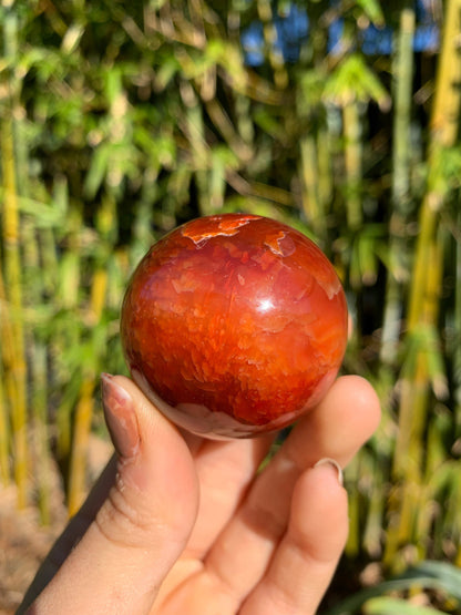 The Guide Crystals sphere 10 Carnelian Medium/Large Sphere