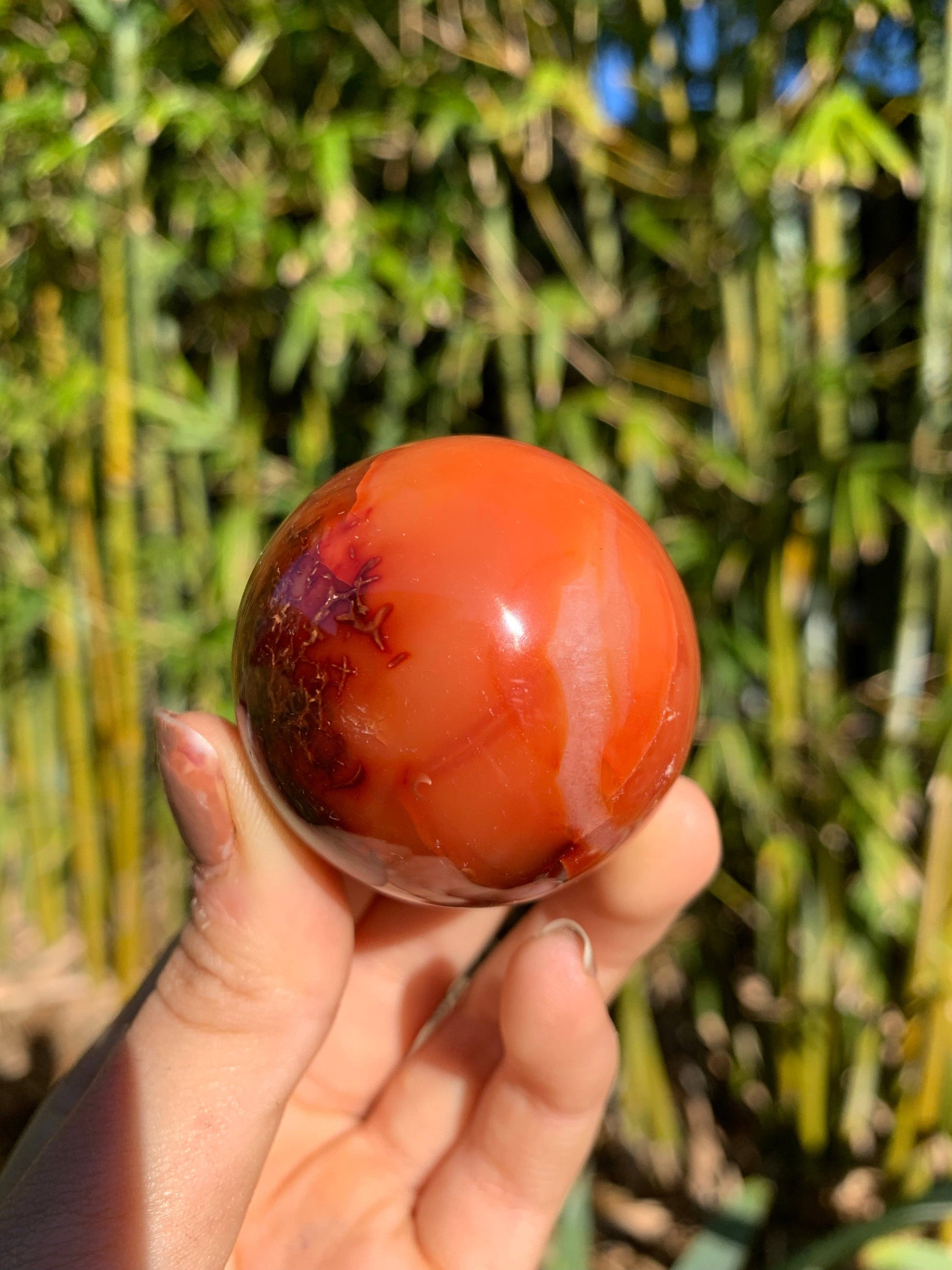 The Guide Crystals sphere 12 Carnelian Medium/Large Sphere