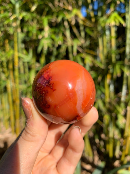 The Guide Crystals sphere 12 Carnelian Medium/Large Sphere