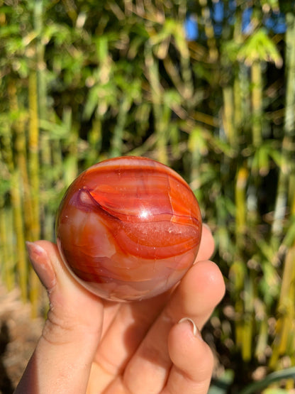 The Guide Crystals sphere 14 Carnelian Medium/Large Sphere