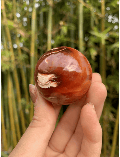 The Guide Crystals sphere 16 Carnelian Medium/Large Sphere