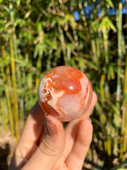 The Guide Crystals sphere 3 Carnelian Medium/Large Sphere